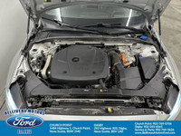 Sunroof, Navigation System, Heated Seats, Air Conditioning, Adaptive Cruise Control, Premium Stereo,... (image 1)