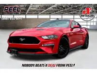  2021 Ford Mustang GT | 5.0L V8 | 6Spd Manual | GT Performance |