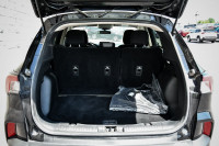 Heated Seats, Aluminum Wheels, Android Auto, Apple CarPlay, Ford Co-Pilot360! 6 LOCATIONS KINGSTON -... (image 7)