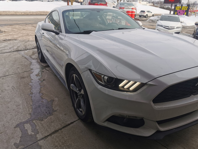 2017 Ford Mustang Fastback in Cars & Trucks in Kitchener / Waterloo - Image 3