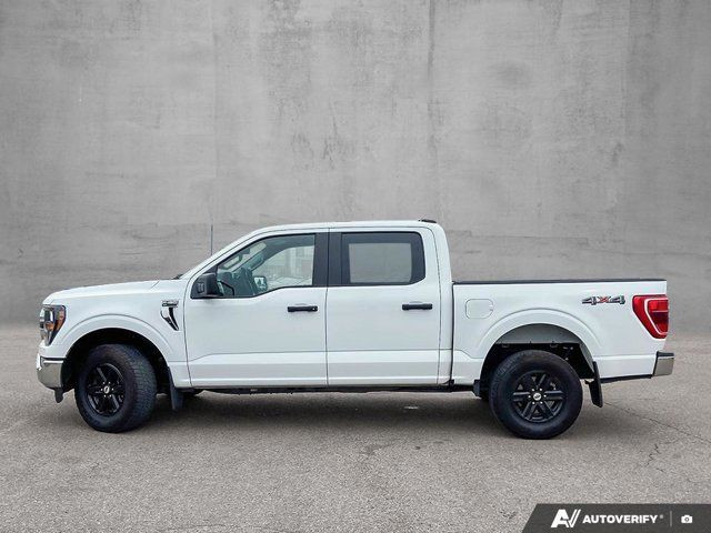 2023 Ford F-150 XLT | Accident Free CarFax | in Cars & Trucks in Edmonton - Image 2