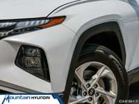 PREV QUEBEC REG (image 6)
