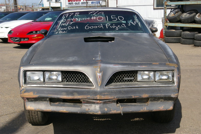 1978 Trans Am 400 4 speed  in Classic Cars in Edmonton - Image 2