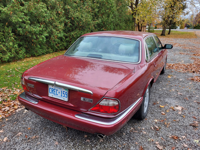 1999 Jaguar XJ8 L in Cars & Trucks in St. Catharines - Image 2