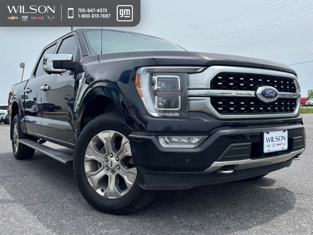 2021 Ford F-150 Platinum ACCIDENT FREE in Cars & Trucks in Sudbury