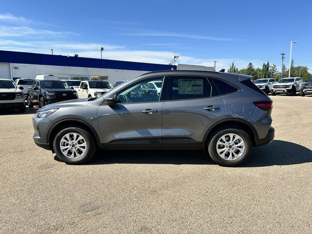 2025 Ford Escape Active in Cars & Trucks in Edmonton - Image 4