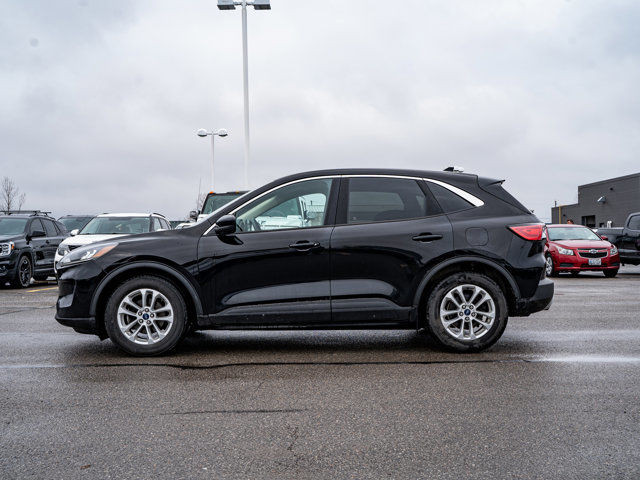 2020 Ford Escape SE - 1.5L Ecoboost Engine | Heated Front Seats in Cars & Trucks in Belleville - Image 4