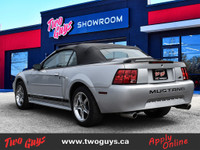 2002 Ford Mustang V6 Satin Silver Clearcoat *AUTOMATIC*, *LOCAL TRADE*, *MARKET VALUE PRICING*, **NE... (image 6)