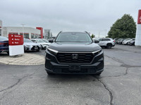 Come visit our Sterling Honda team, you can find us at 1495 Upper James Street, Hamilton, ON L9B 1K2... (image 1)