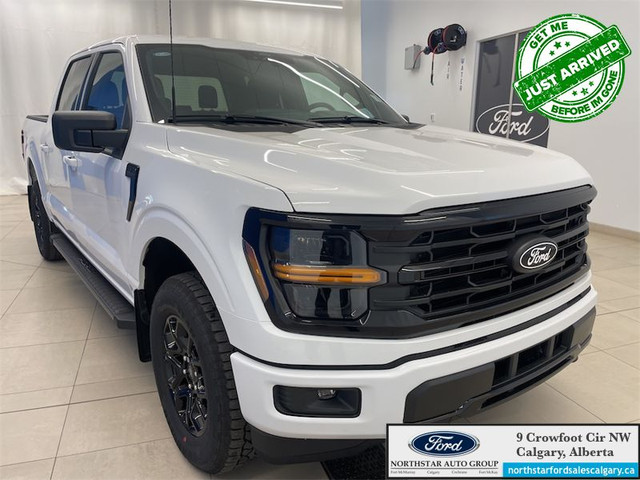 2025 FORD F-150 XLT in Cars & Trucks in Calgary - Image 4