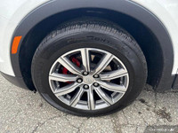 - HEATED FRONT & REAR LEATHER SEATS - HEATED STEERING WHEEL - ADAPTIVE REMOTE START - NAVIGATION - P... (image 9)
