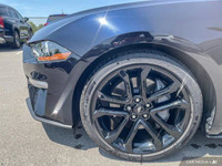 *2022 Ford Mustang GT | 5.0L V8 | Heated & Cooled Seats* Experience iconic American muscle in this 2... (image 8)
