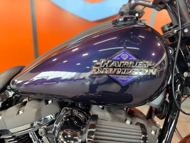 2025 Harley-Davidson Low Rider S in Street, Cruisers & Choppers in Grande Prairie - Image 10