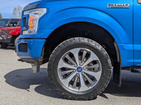 Come see this 2019 Ford F-150 XL before someone takes it home! * This Ford F-150 is a Bargain with T... (image 7)