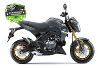 2024 KAWASAKI Z125 PRO