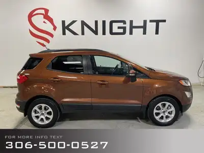 2019 Ford EcoSport SE with Convenience and Interior Protection