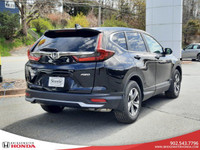 2022 Honda CR-V LX AWD New All Season Tires -Steele Certified and MVI -85-point inspection -Motor ve... (image 5)