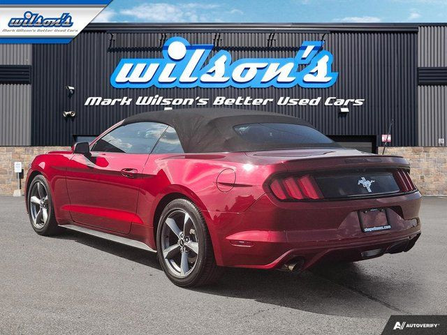2015 Ford Mustang V6 Convertible | Auto | Rear Camera | 18 in Cars & Trucks in Guelph - Image 3