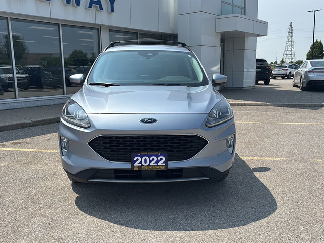 2022 Ford Escape SEL Hybrid SEL TECH PACKAGE, POWER LIFTGATE, ME in Cars & Trucks in Stratford - Image 2