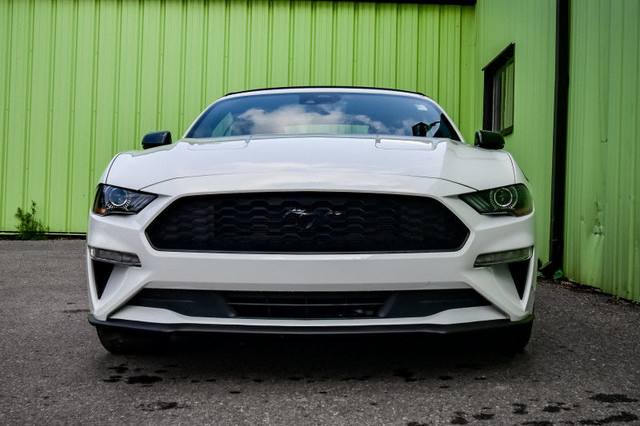 2022 Ford Mustang EcoBoost Premium • COOLED LEATHER • NAV • CP/A in Cars & Trucks in Kingston - Image 4