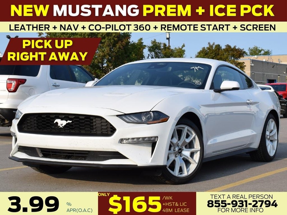  2022 Ford Mustang PREMIUM| ICE PACK| LEATHER| NAV| CO-PILOT | PERFORMANCE EXHAUST