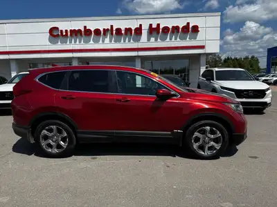 Anti-Lock Brakes; Fog Lights; Immobilizer; Back-Up Camera; Driver Information Centre; Deep Tinted Gl...