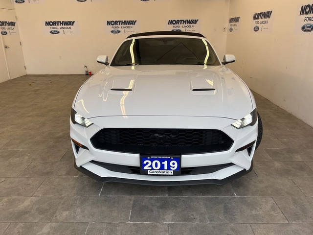 2019 Ford Mustang in Cars & Trucks in Brantford - Image 3