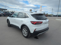 Apple CarPlay, Android Auto, Power Liftgate, Blind Spot Detection, Lane Keep Assist! SALES HOTLINE s... (image 8)