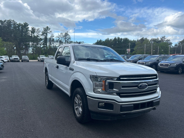 2019 Ford F-150 XLT BACKUP CAM! CARFAX CLEAN! in Cars & Trucks in Annapolis Valley - Image 4