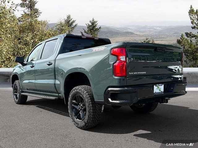 2025 Chevrolet Silverado 1500 LT Trail Boss | Running Boards in Cars & Trucks in Cowichan Valley / Duncan - Image 3