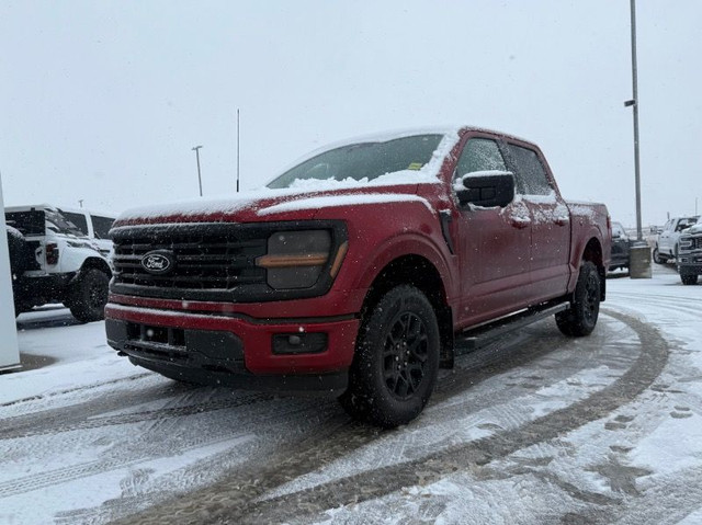 2025 Ford F-150 XLT in Cars & Trucks in Edmonton