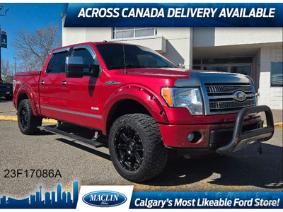  2011 Ford F-150 Platinum | LIFT KIT | FENDER FLARES | HARD TONN