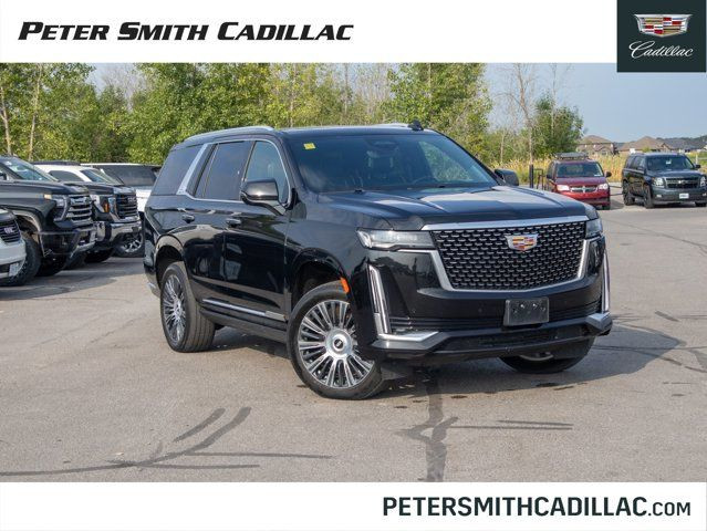 2022 Cadillac Escalade Premium Luxury - Wi-Fi Hotspot Capable in Cars & Trucks in Belleville