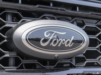 This Ford Super Duty F-250 SRW has a trusty Regular Unleaded V-8 6.8 L/415 engine powering this Auto... (image 8)