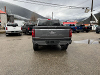 Engine Block Heater, Tailgate Step, Skid Plates, Adaptive Cruise Control, FordPass Connect, LED Fog... (image 3)