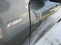 ST-Line Select AWD Engine: 2.0L Ecoboost (image 7)