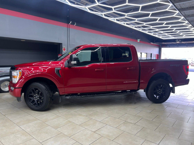2021 Ford F-150 in Cars & Trucks in Edmonton - Image 4