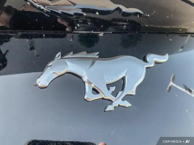 2025 Ford Mustang EcoBoost in Cars & Trucks in Brandon - Image 33