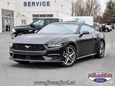  2024 Ford Mustang EcoBoost Fastback