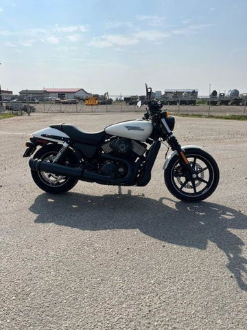2019 Harley-Davidson XG750 - Street 750 in Street, Cruisers & Choppers in Strathcona County - Image 3