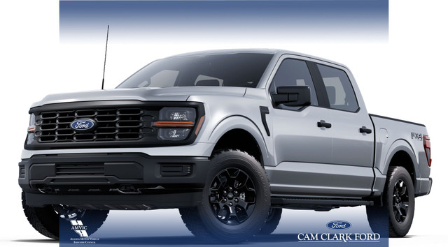 2025 Ford F-150 STX in Cars & Trucks in Red Deer