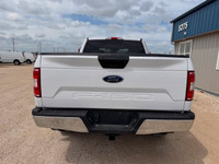 2020 Ford F-150 XLT Crew Cab 4x4 5.0L V8 for sale at Pacific Motors near, Winnipeg, MB CLEAN CARFAX-... (image 5)
