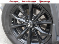 2025 Honda CR-V Hybrid EX-L Meteorite Gray Metallic 2.0L 16V DOHC CVT Call us at (905) 845-4211 toda... (image 5)