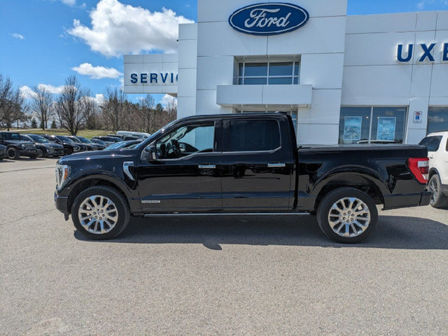 2021 Ford F-150 Limited - Leather Seats - Cooled Seats in Cars & Trucks in Kawartha Lakes - Image 2