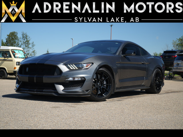 2019 Ford Mustang GT350 in Cars & Trucks in Red Deer