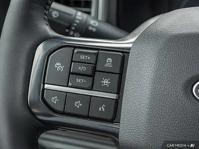 2025 Ford F-350 Super Duty PLATINUM in Cars & Trucks in Edmonton - Image 20