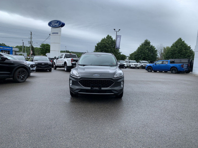 2020 Ford Escape SEL 4WD - Leather/Roof/Nav/Co-Pilot/LOADED!!! in Cars & Trucks in Kawartha Lakes - Image 2