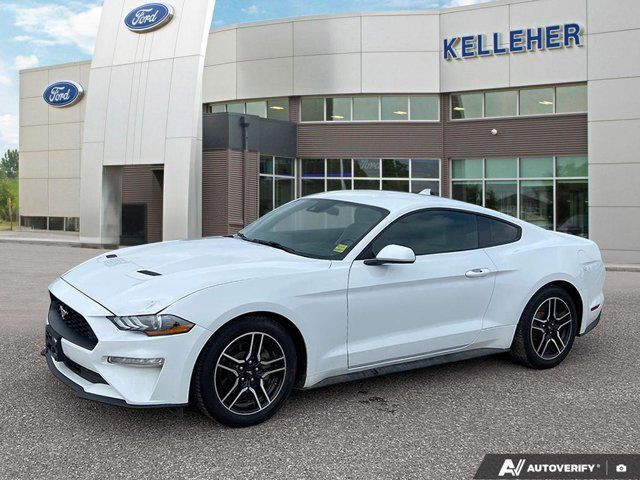2021 Ford Mustang EcoBoost in Cars & Trucks in Brandon