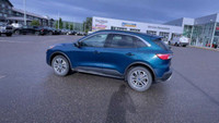 All Wheel Drive. Leather Interior. Touchscreen. Bluetooth. Remote Start. Sunroof. Rear View Backup C... (image 6)