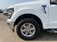 Welcome to Freedom Ford. Recent Arrival! 4WD, 6 Speakers, Auto High-beam Headlights, Cloth 40/20/40... (image 2)